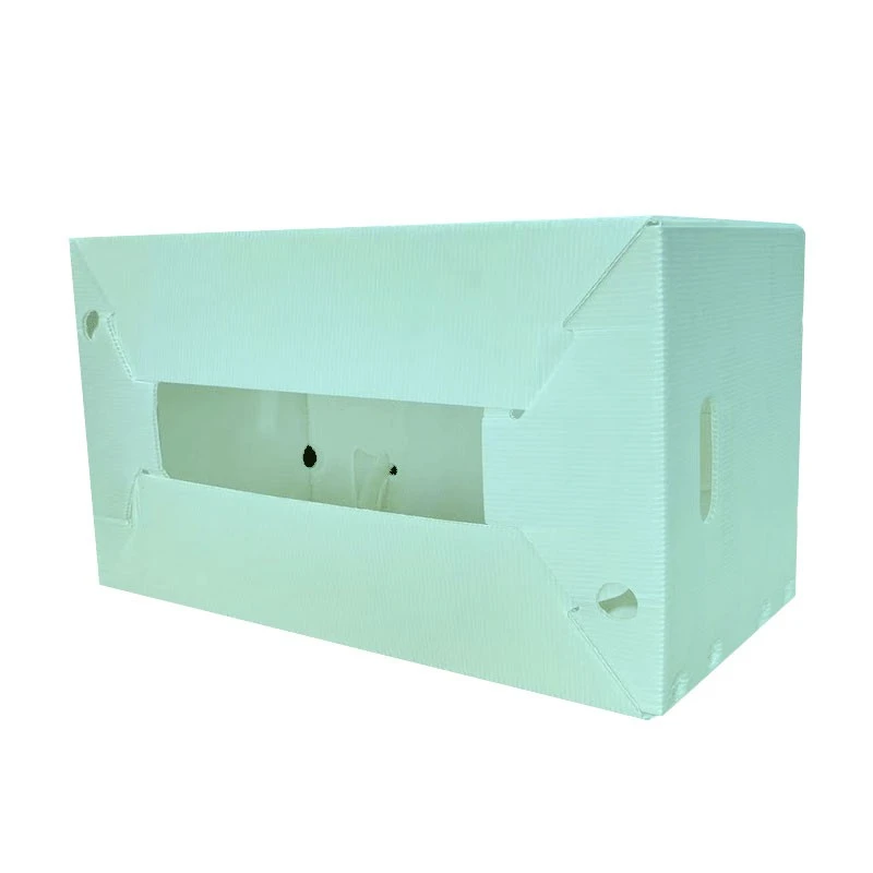 Pp Corrugated Sheet Box factory
