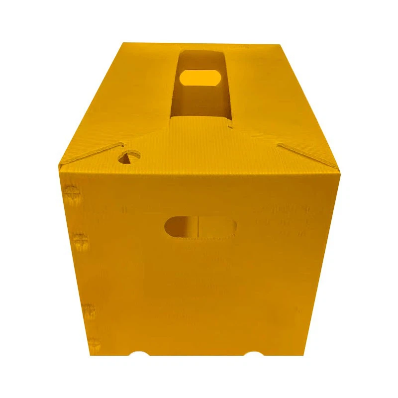 PP Packaging Box factory